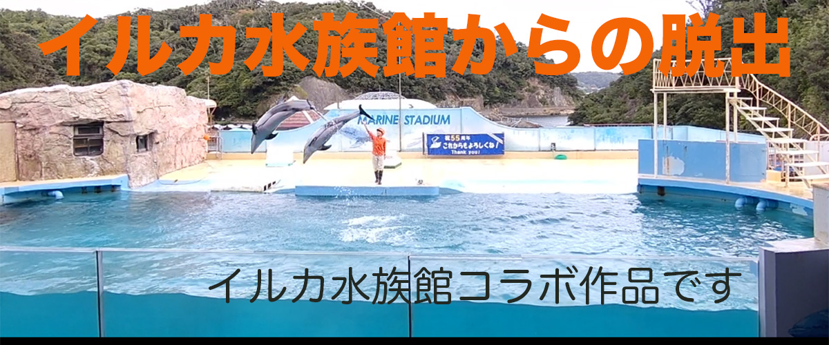 イルカ水族館からの脱出